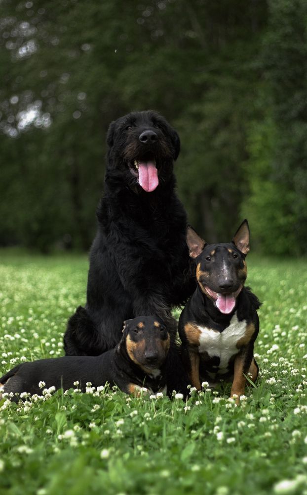 Photograph by Елена Казакова