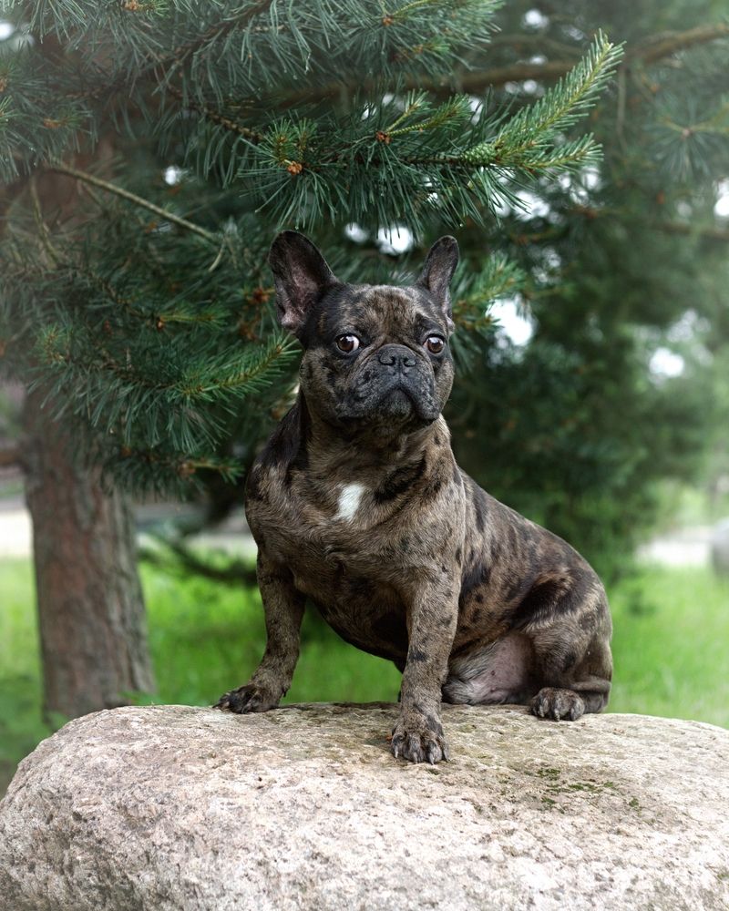 Photograph by Елена Казакова