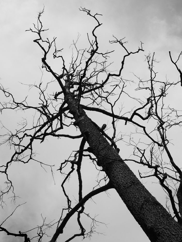 Photograph by Даша Каткова
