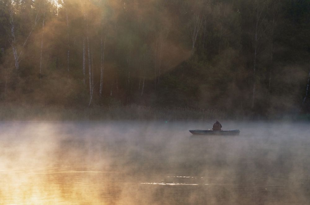 Photograph by Елена Кошелева