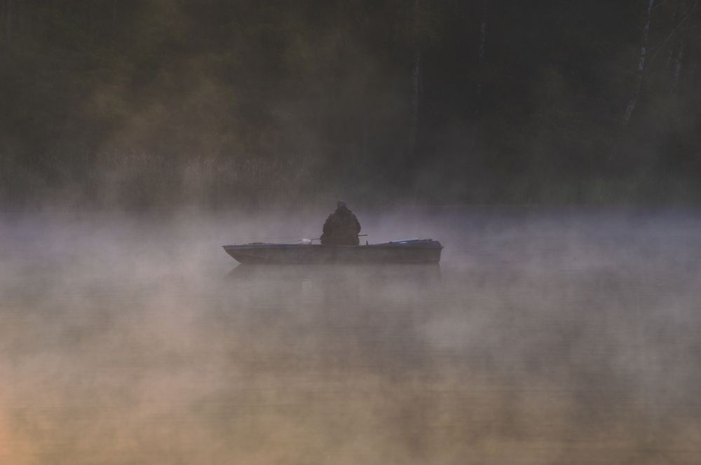 Photograph by Елена Кошелева