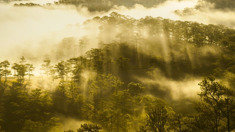 Morning Clouds, Dalat Vietnam