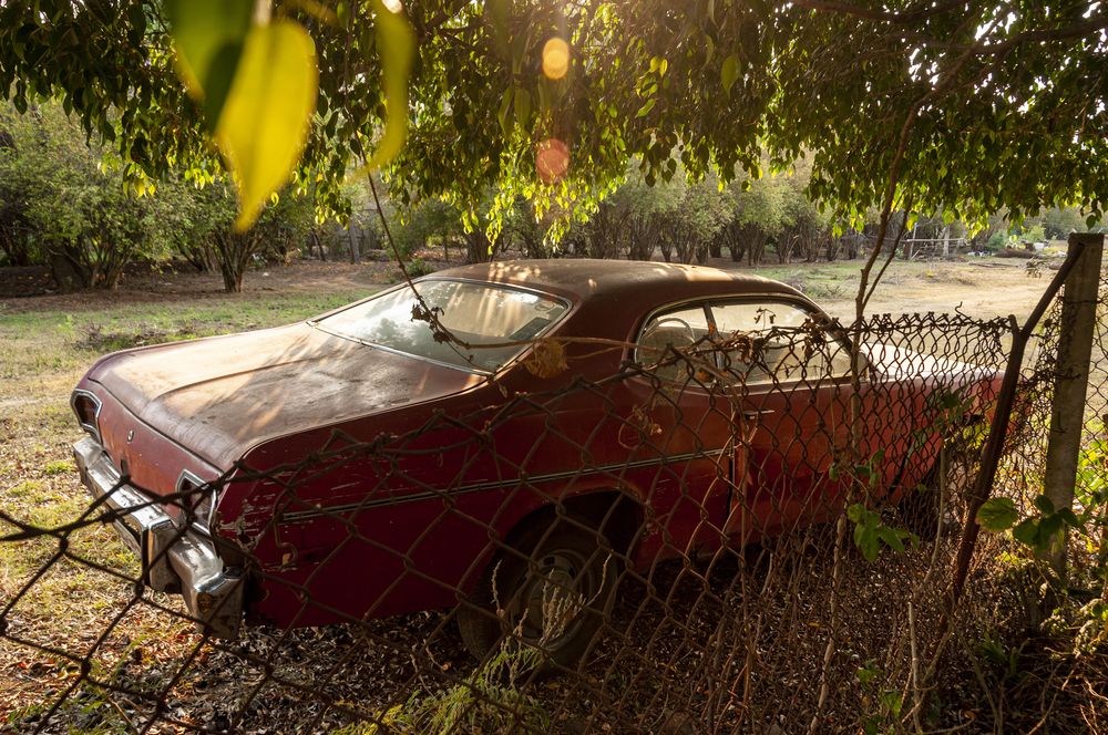 Photograph by gustavo gatto