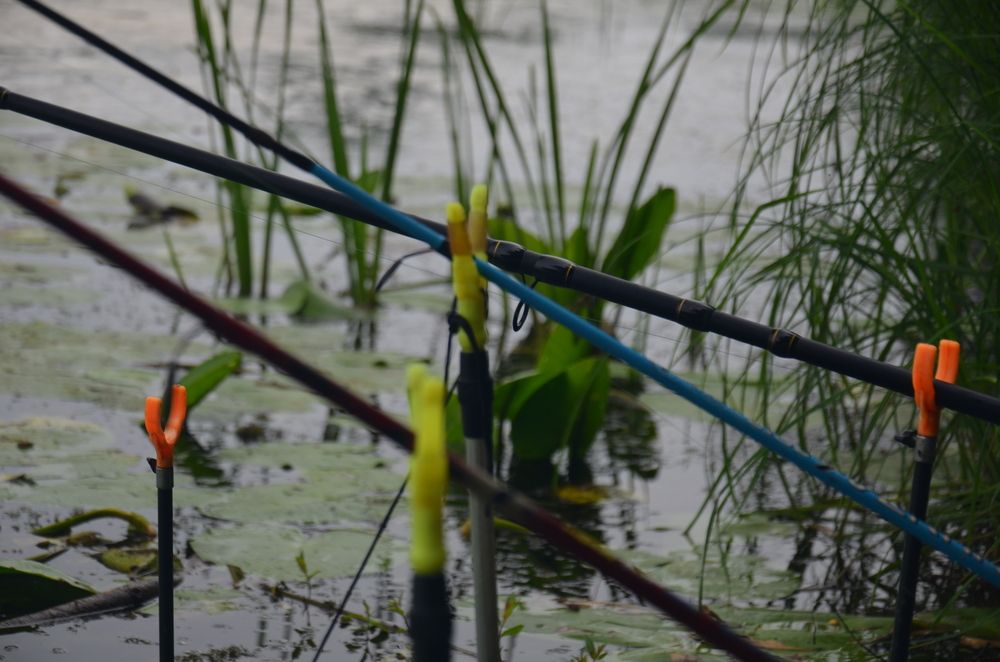 Photograph by Николай Дмитриев