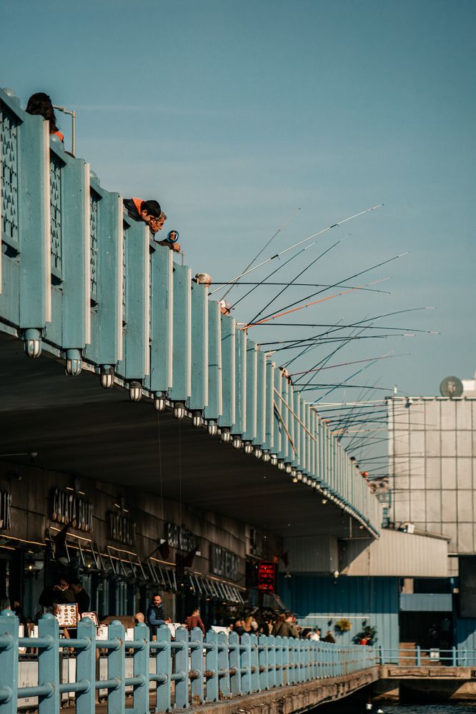 Photograph by Екатерина Нальгиева