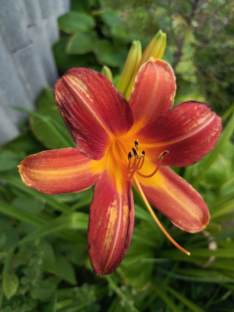 Фотография автора Татьяна Пальчикова