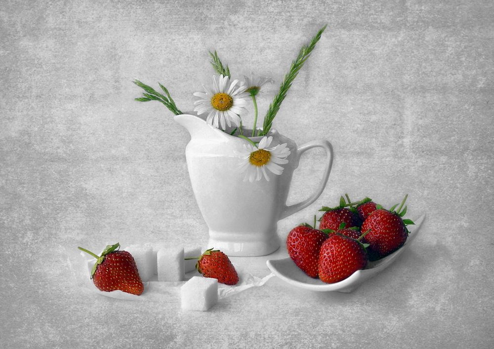 Фотография автора Е лена Е