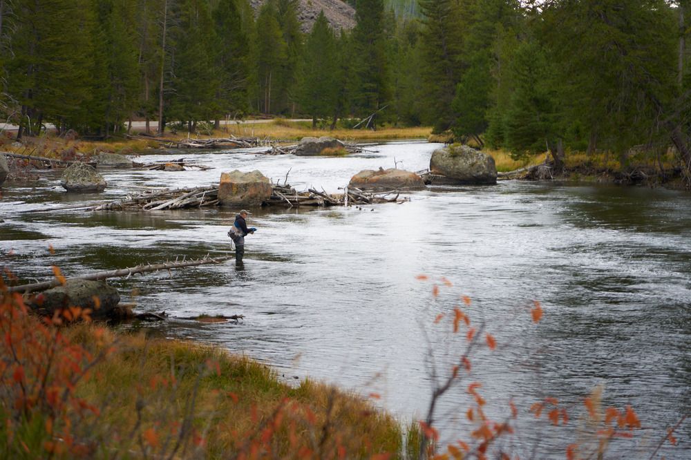 Fisherman in Yellowstone