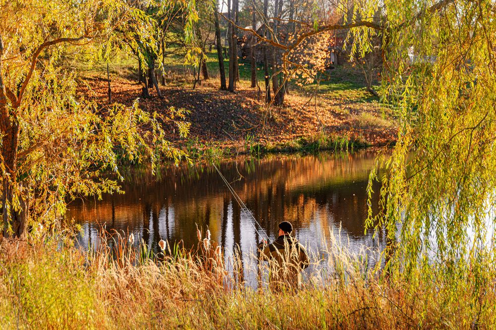 Эстетика рыбалки