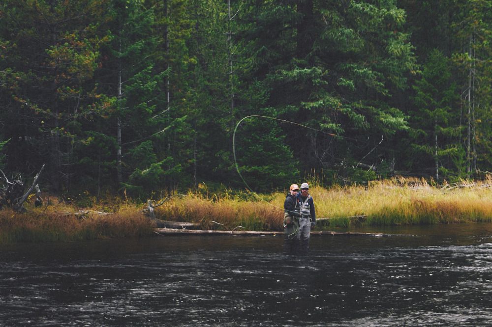 Fly fisherman