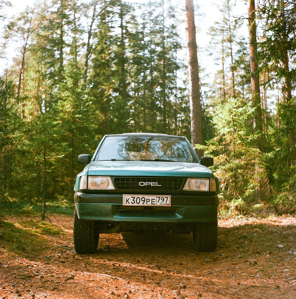 Фронтера в лесу