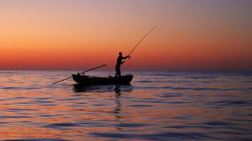 Фотография автора Pham Anh Vu