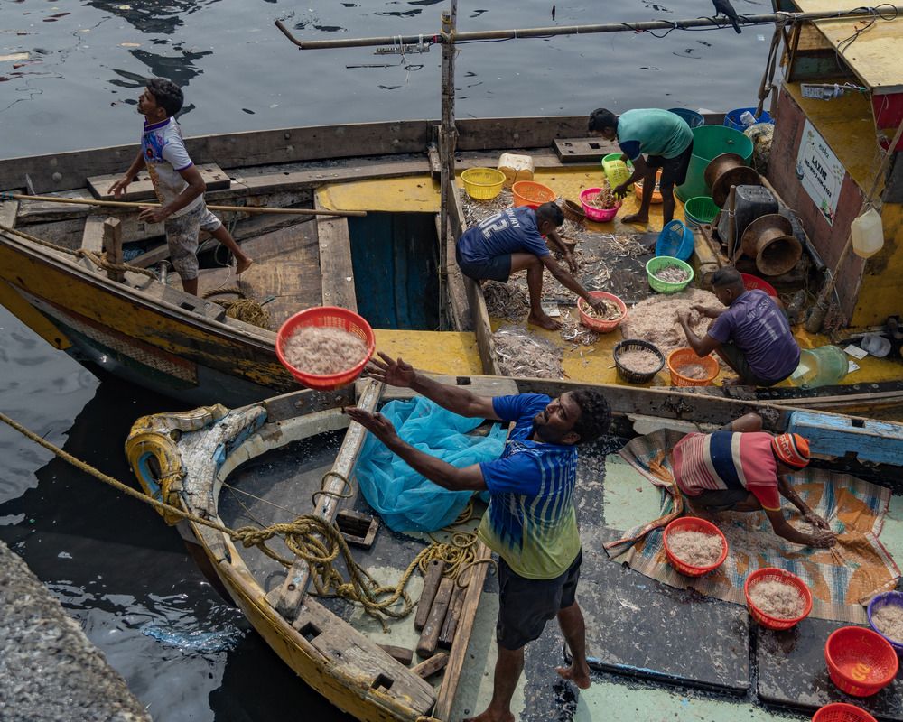 Фотография автора Kushal Lad