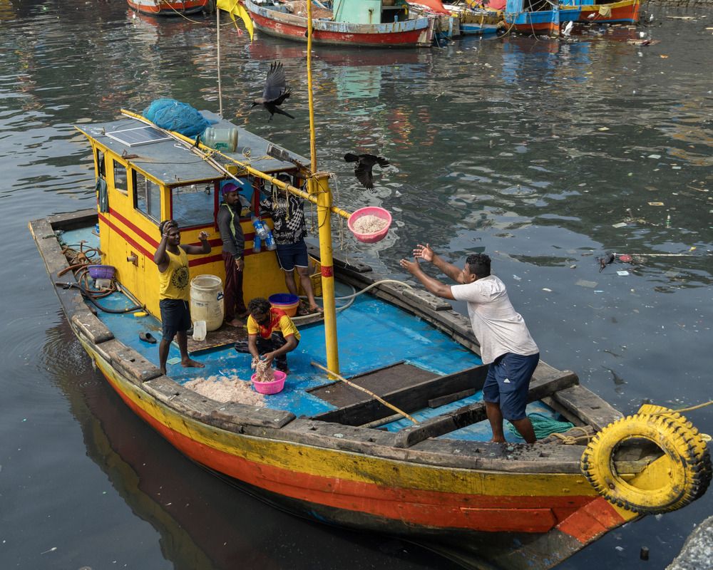 Фотография автора Kushal Lad