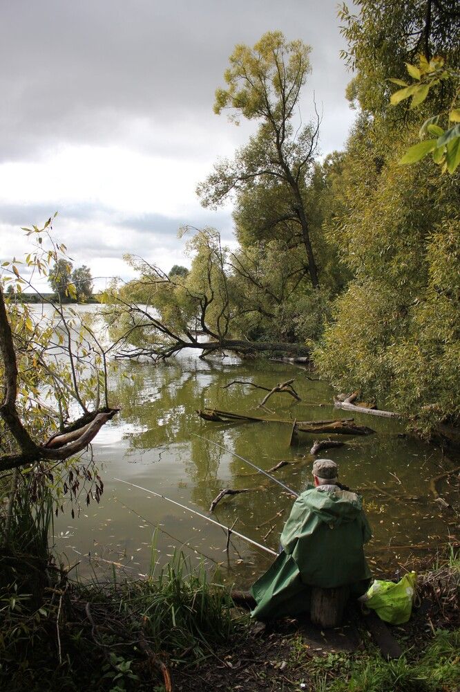 Photograph by Сергей Зятиков