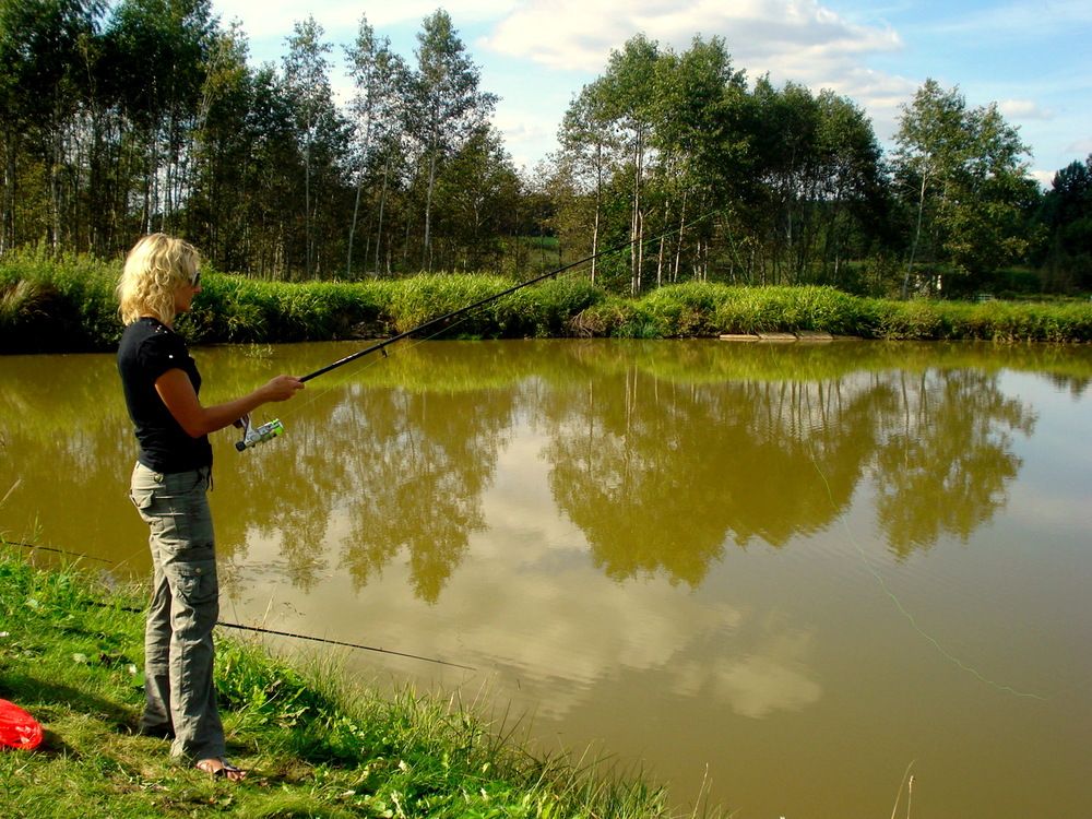 Photo #12392858