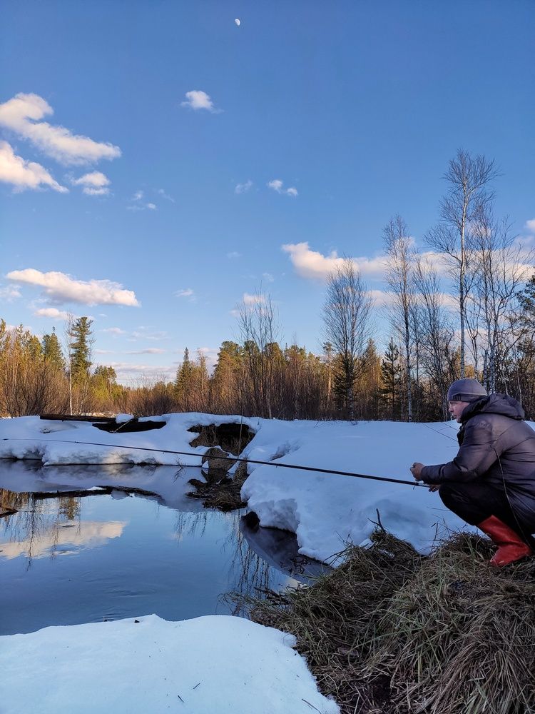 Photograph by Оксана Радзиевская