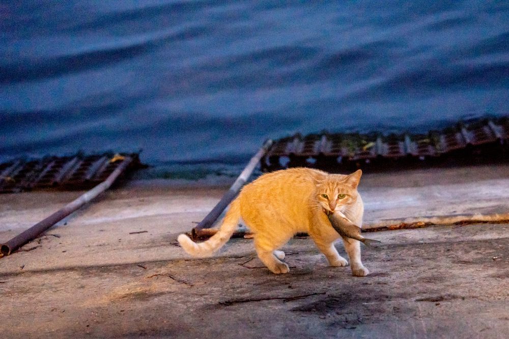 Photograph by Ольга Белопухова