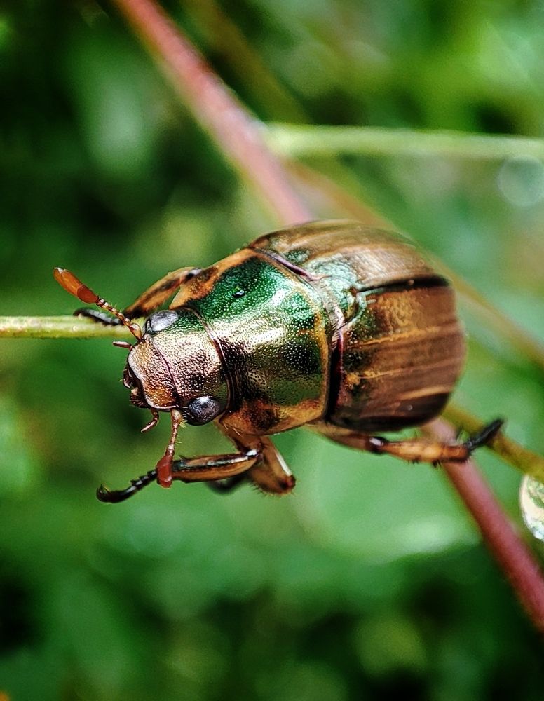 Photograph by Дина Желанова
