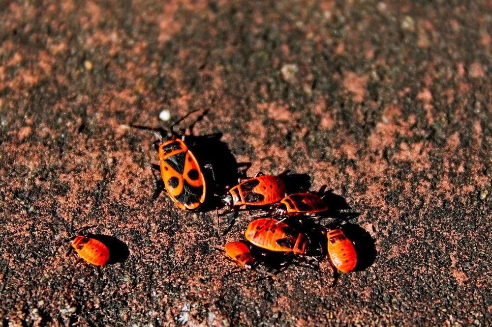 Photograph by Дмитрий Симагин