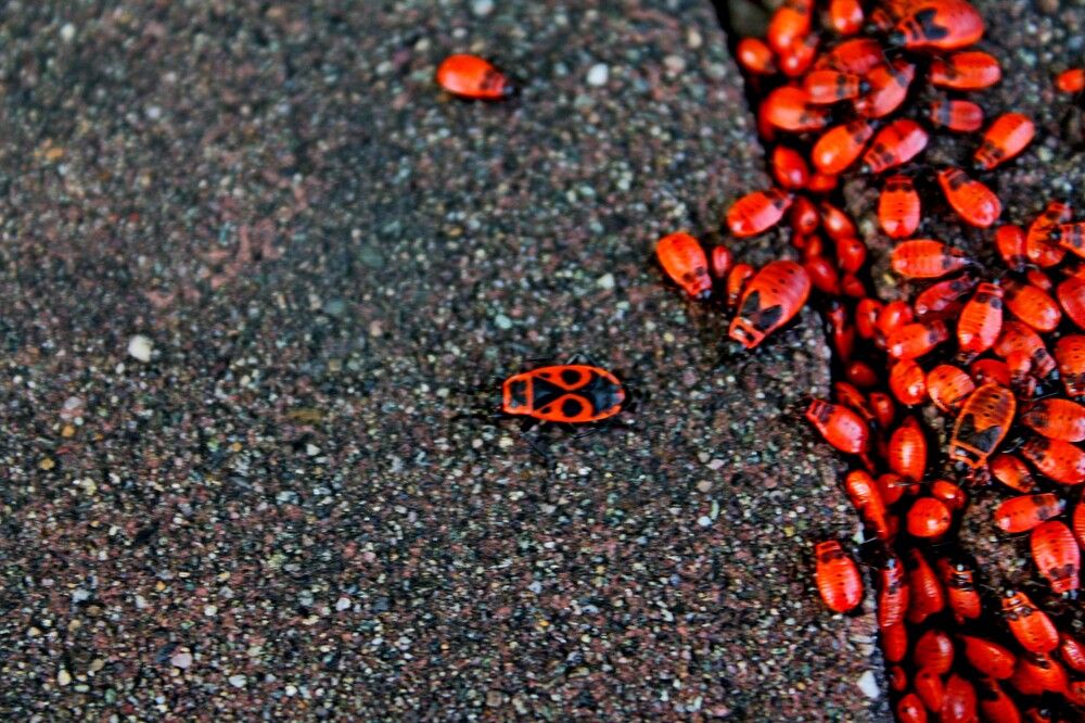 Photograph by Дмитрий Симагин