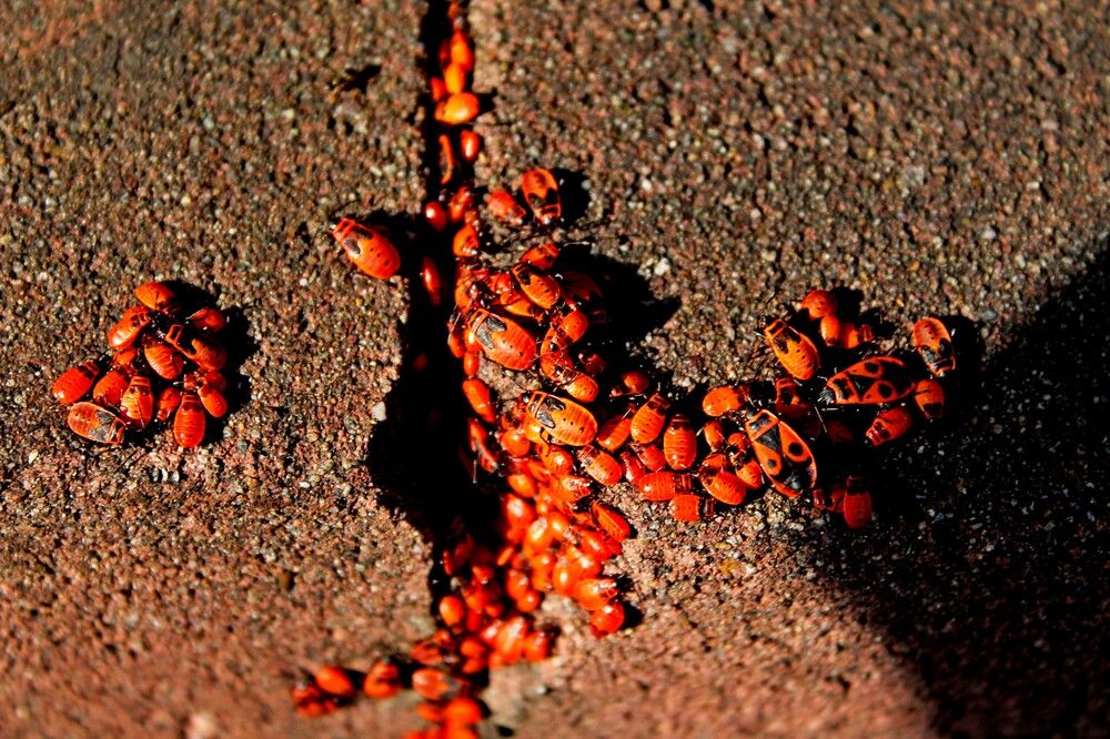 Photograph by Дмитрий Симагин