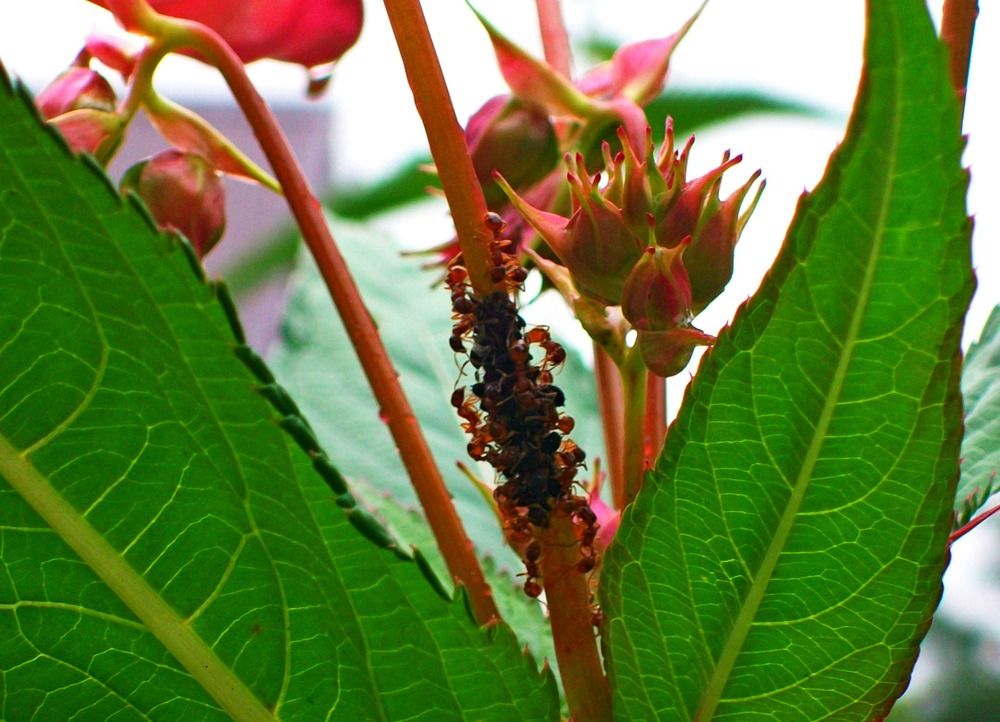 Photograph by Дмитрий Симагин