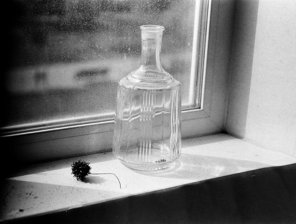 Photograph by Лада Кляузина