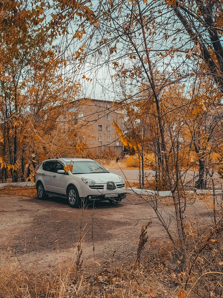 Photograph by Ирина Строкова