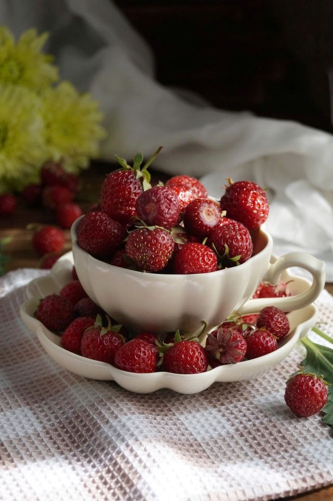 Photograph by Светлана