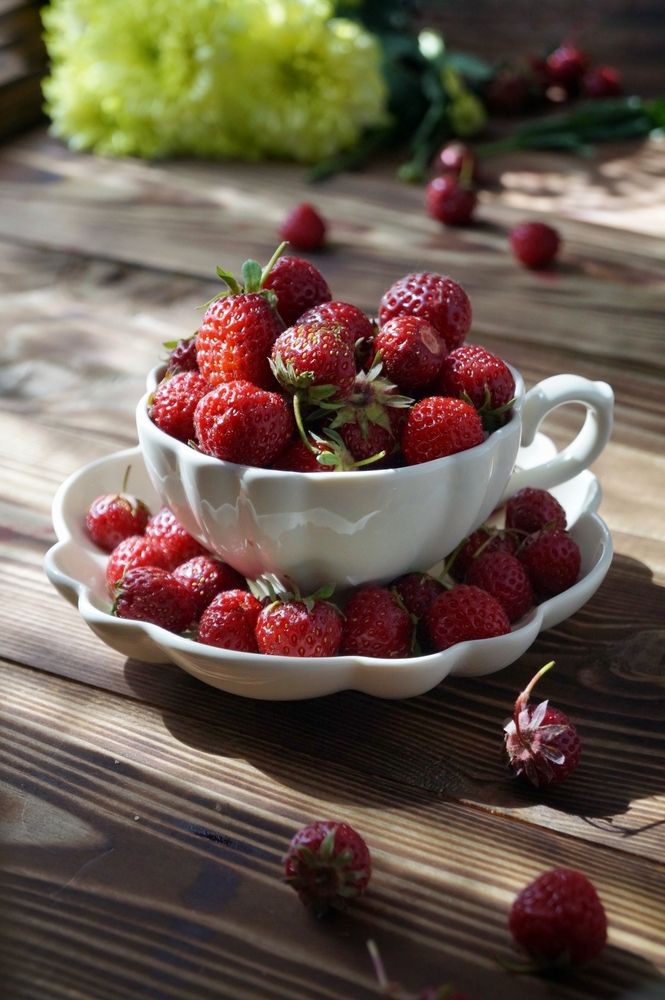 Photograph by Светлана