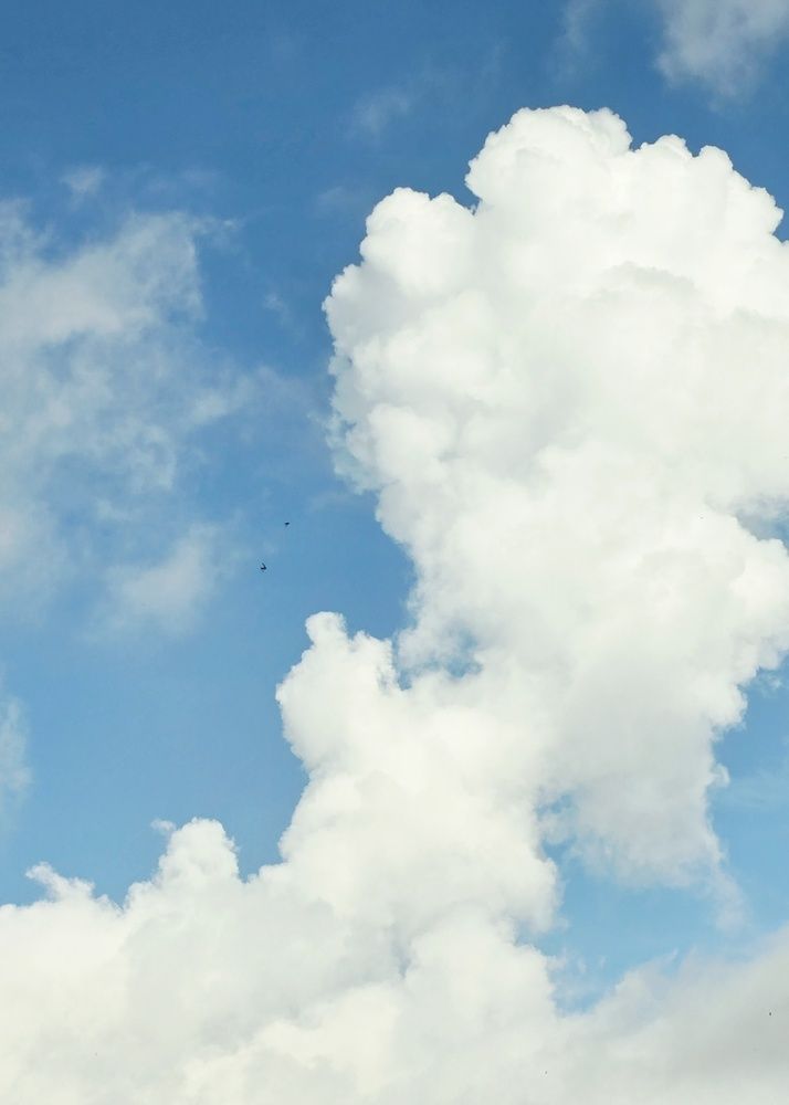 Фотография автора Бороненков Вадим