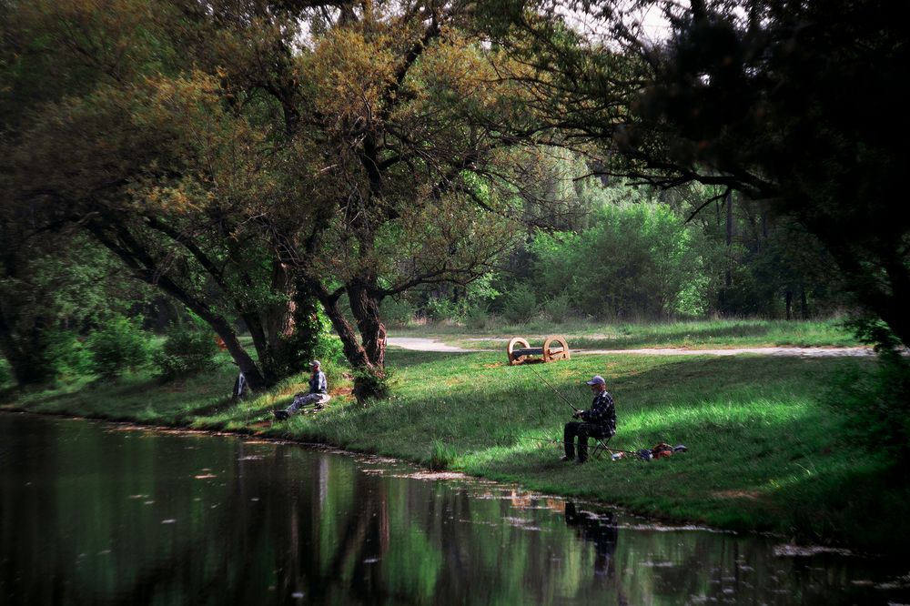 Photograph by Сергей Удовиченко