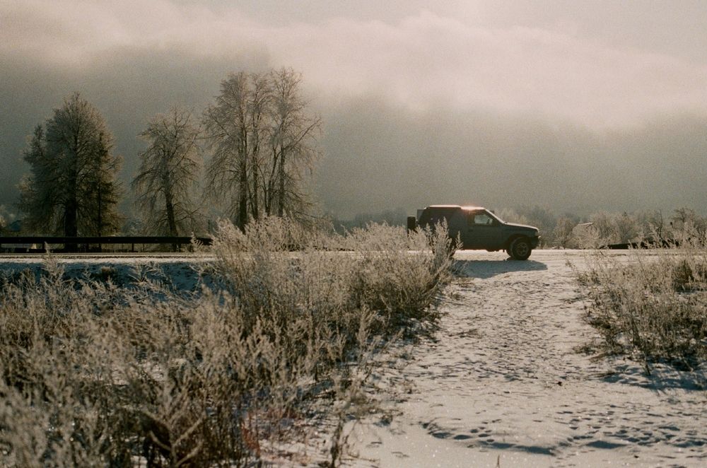 Photograph by Юлия Фомина