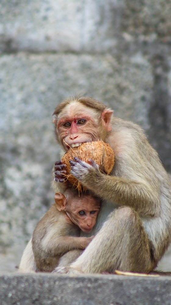 Photograph by Anurag Kashyap
