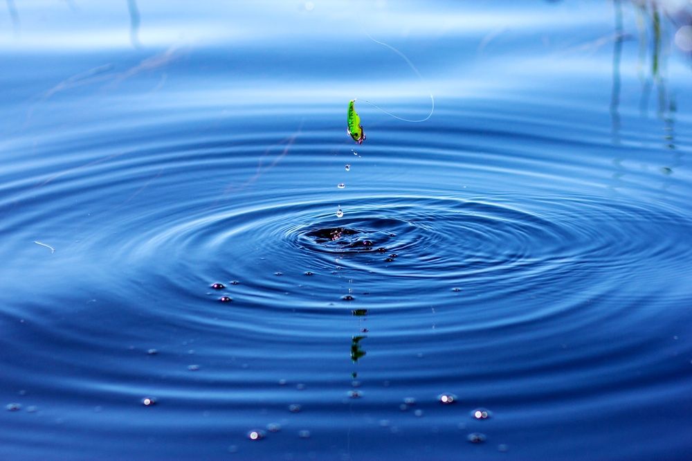 Photograph by Эльвира Лазарева