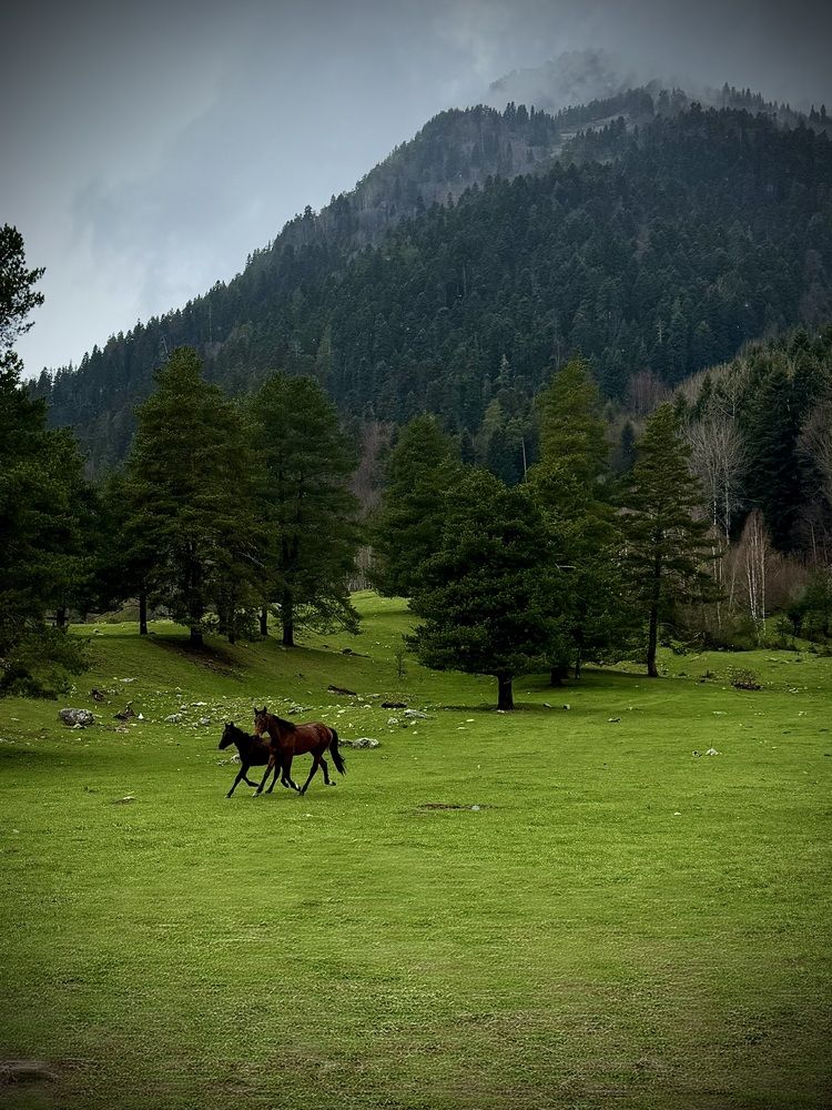 Photograph by Кристина Коробова