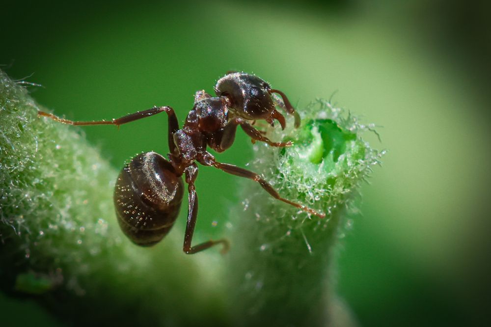 Photograph by Eva Wiedemann