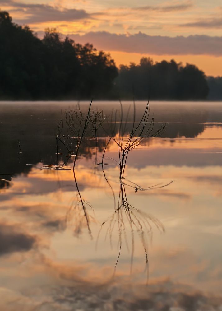 Photograph by Анастасия Алтабаева