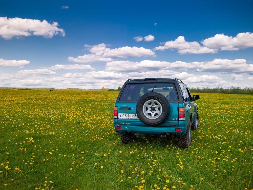 Photograph by Денис Королёв