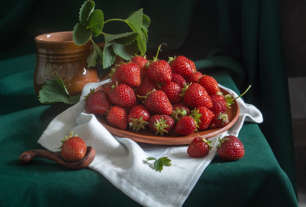 Photograph by Елена Плотникова