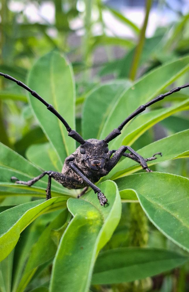 Photograph by Tatiana Kirillova