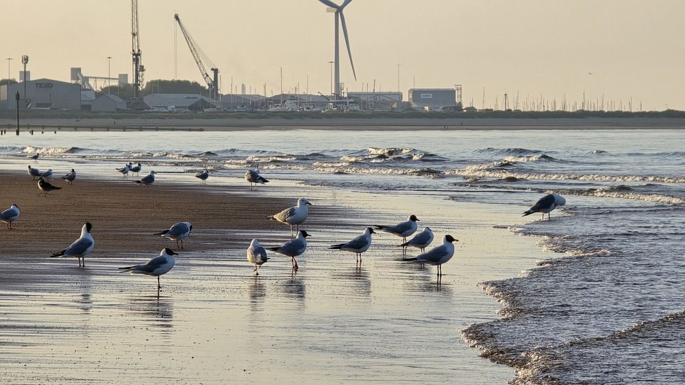 Photograph by Ekaterina Kozlova