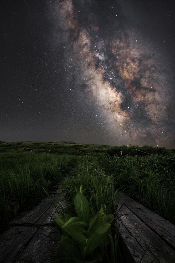 Photograph by Hiroki Matsubara