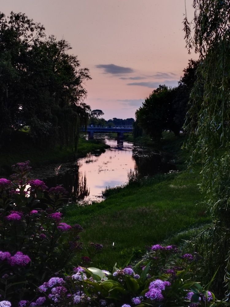 Photograph by Анастасия Проскурнова