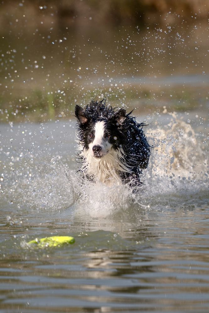 Photograph by Radenko Malić