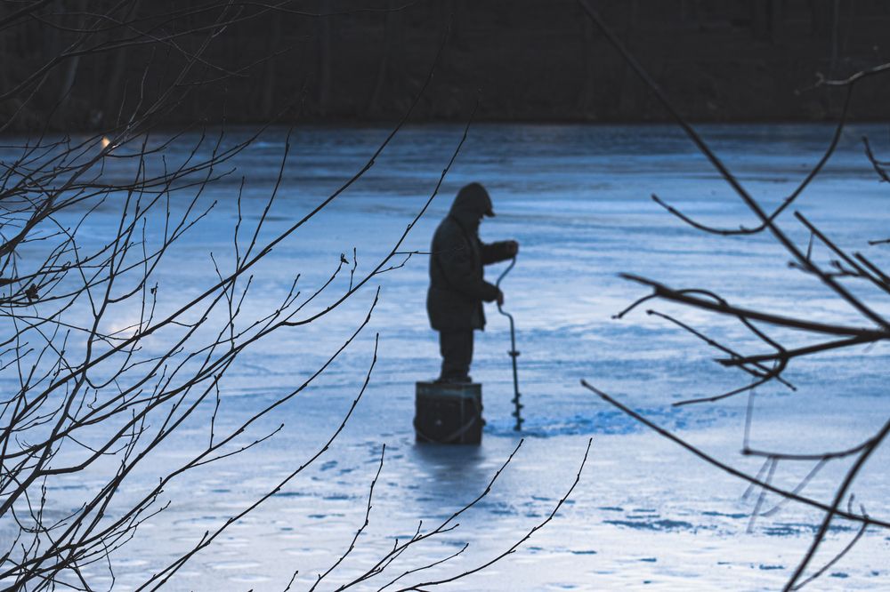 Фотография автора Ирина Гриценко