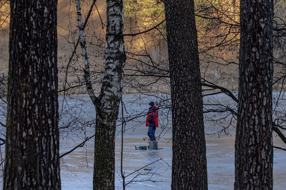 Фотография автора Ирина Гриценко