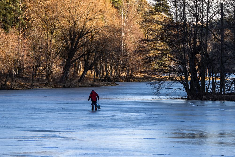 Фотография автора Ирина Гриценко