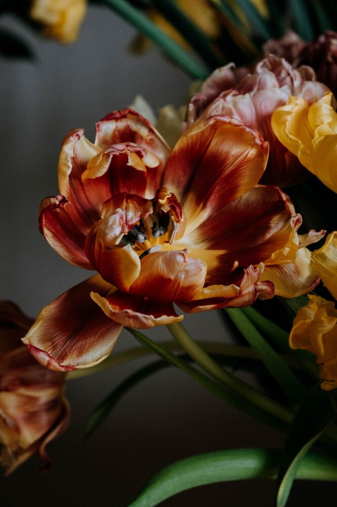 Photograph by Tatiana Potapenko